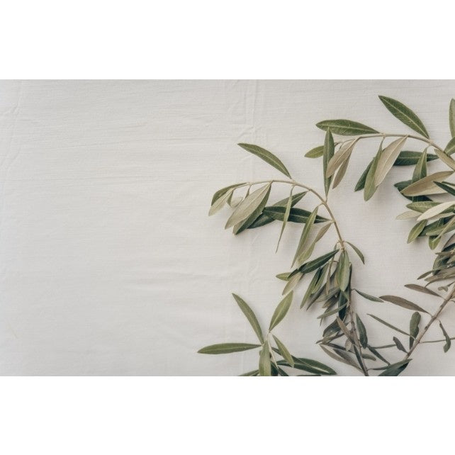 Olive Branch Placemats 420x297mm